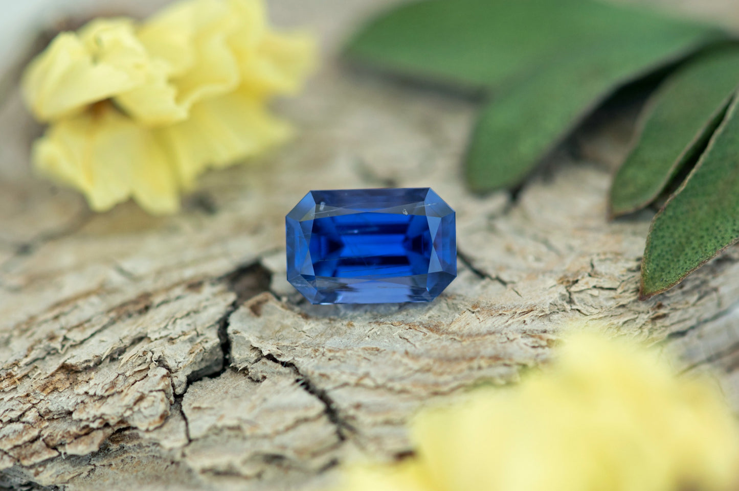 Blue Sapphire 1.58ct
