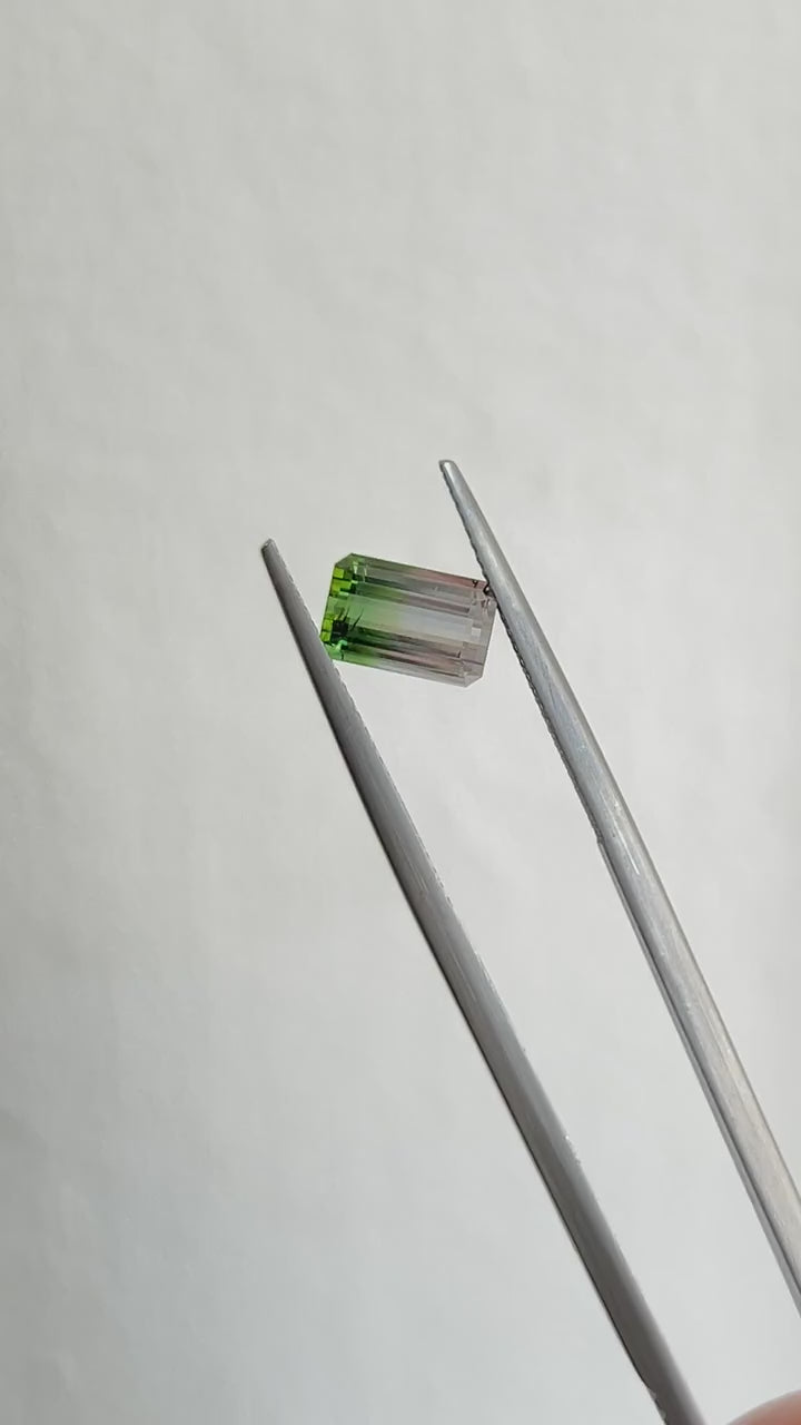 Bi-color Tourmaline 1.89ct