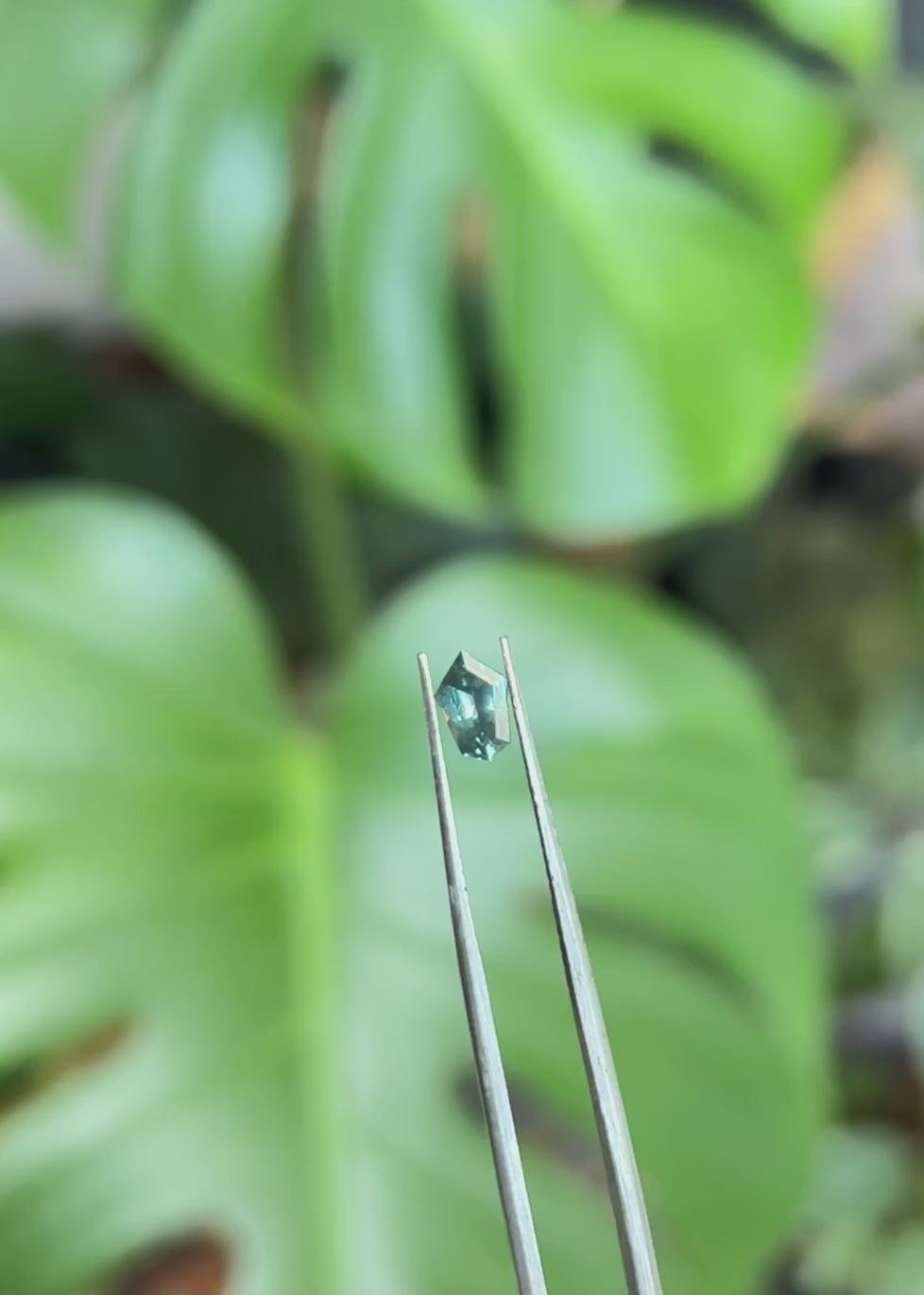 Montana Sapphire 0.65ct