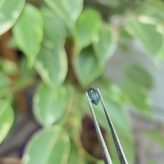 Montana Sapphire 0.70ct