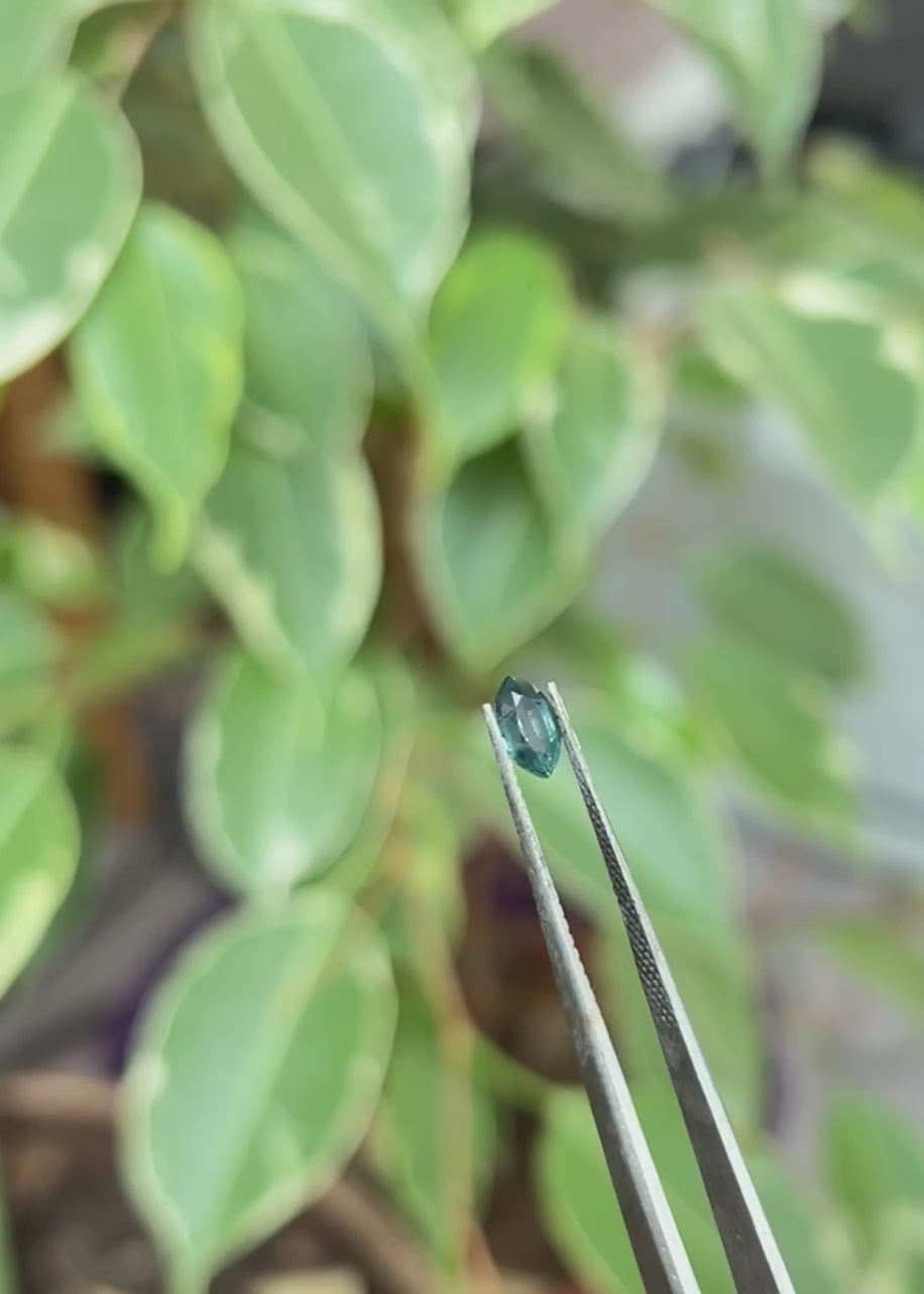 Montana Sapphire 0.70ct