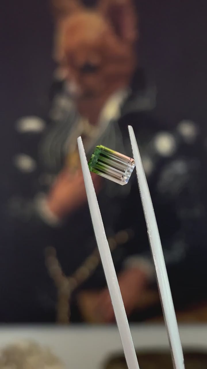 Bi-color Tourmaline 1.89ct