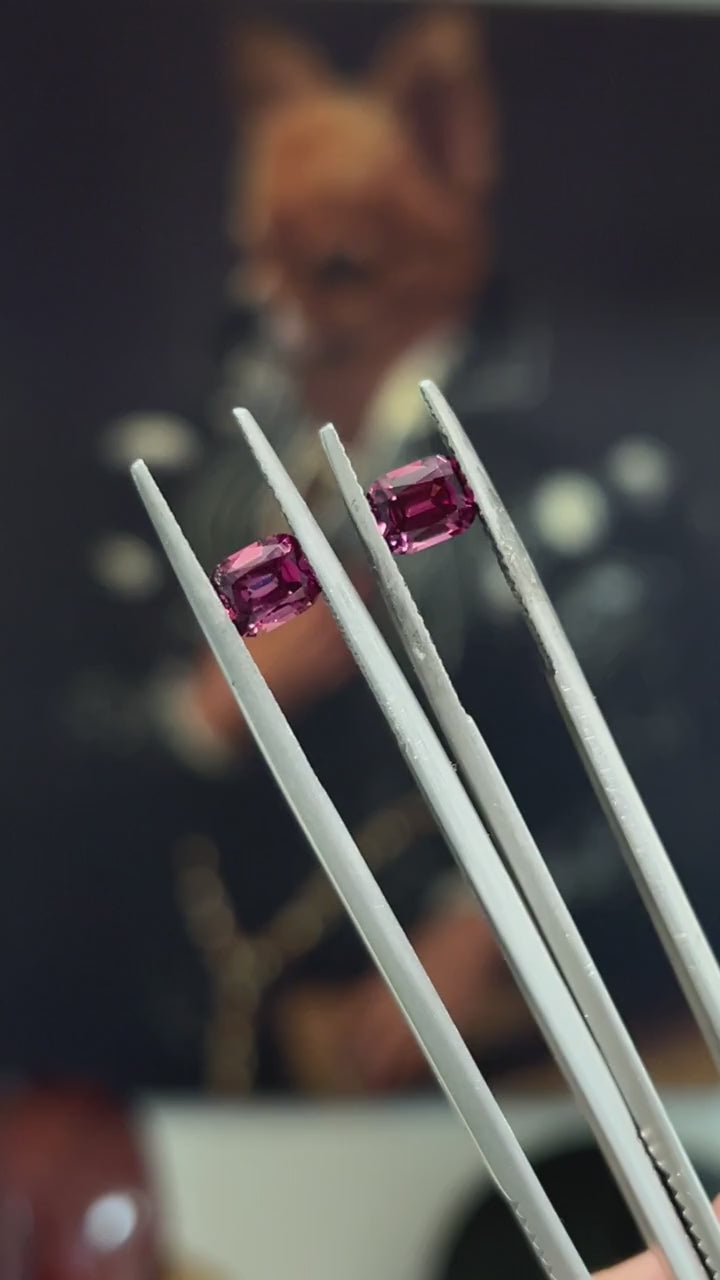Garnet pair 1.73ct