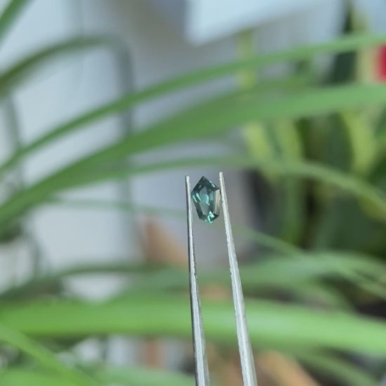 Montana Sapphire 0.65ct