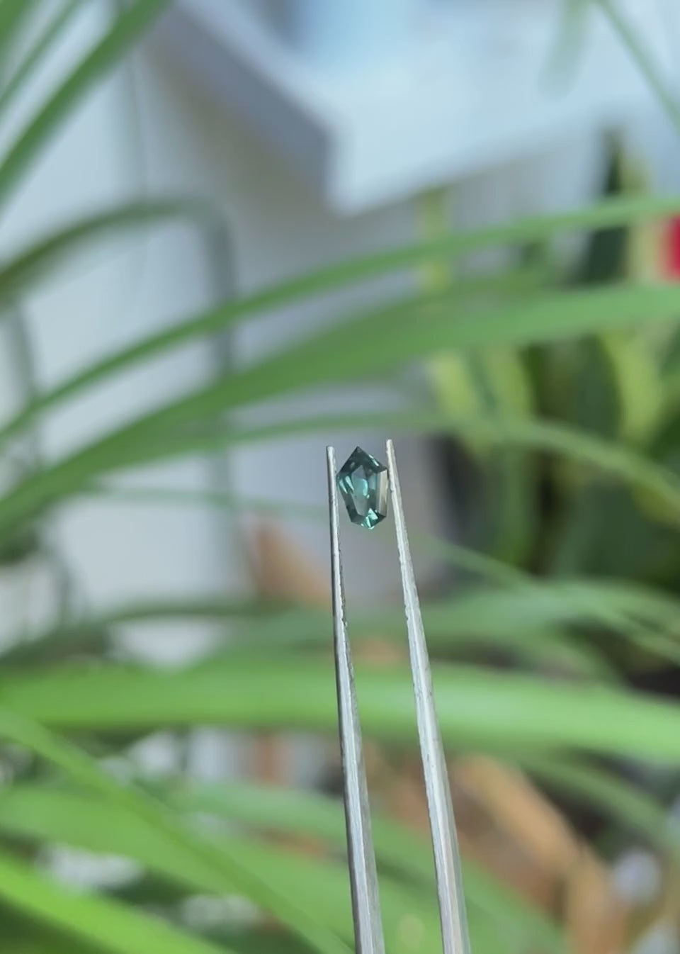 Montana Sapphire 0.65ct