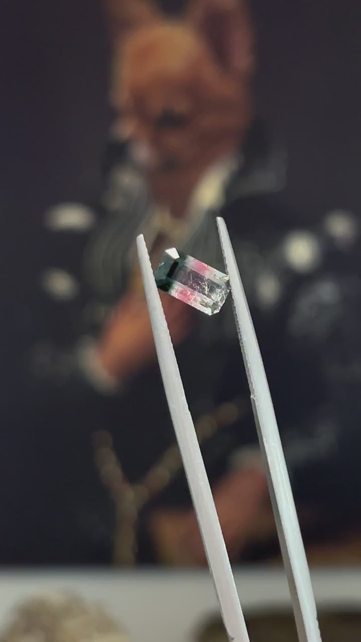 Tri-color Tourmaline 1.01ct